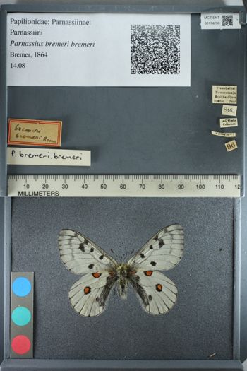 Media type: image;   Entomology 174296